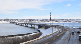 Мурманская таможня напоминает правила ввоза продуктов