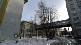 В Мурманской областной больнице назначен новый главврач