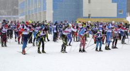 Делегация Олимпийского комитета приехала в Мурманск с проектом
