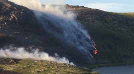 В лесах Заполярья начался пожароопасный сезон