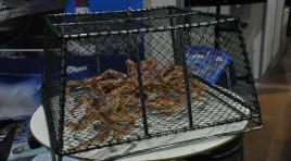 На территории бывшего совхоза «Заполярный» работал цех по переработке краба