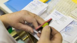 Северяне за свой счёт могут сделать прививку против клещевого энцефалита