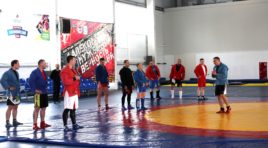 Северяне выбирают самбо