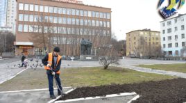 В Мурманске будет высажено 100 тыс. цветов