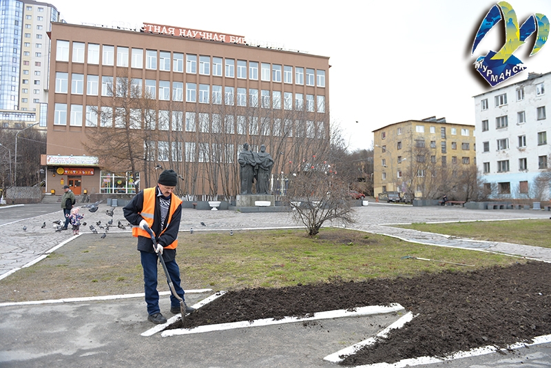 В Мурманске будет высажено 100 тыс. цветов