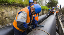 Чибис поручил оперативно закрыть все точечные проблемы с отоплением