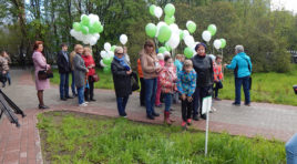 В центральном сквере Мурманска проложили экотропу