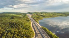 Введено ограничение пребывания граждан в лесах Мурманской области