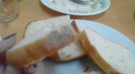 В Росляково в школьной столовой детям дали хлеб с плесенью