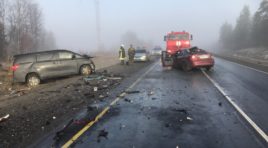 Недалеко от Оленегорска лоб в лоб столкнулись иномарки