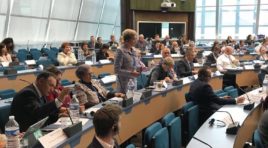 Марина Ковтун выступила в Страсбурге