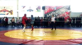 В Коле прошёл турнир по боевому самбо