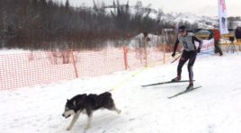 Северянин выиграл «бронзу» на этапе Кубка мира по скиджорингу