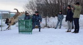 В Мурманске побывала делегация из Финляндии