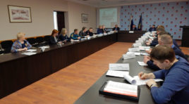 В Заполярье количество отловленных собак увеличилось в 1,6 раза