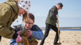 Вдоль Варзуги волонтёры высадили деревья