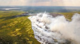 На Кольском полуострове действуют 8 лесных пожаров