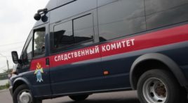 В Заполярье руководителей регионального лесничества поймали на взятке