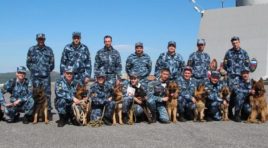 В Мурманской области требуются специалисты-кинологи