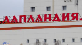 Новогодние представления в «Лапландии»