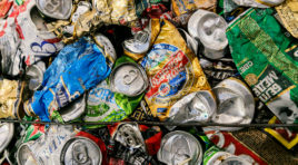 Экологический фестиваль Zero Waste Fest пройдет в Мурманске