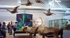 Краеведческий музей встретил «Ночь музеев» на новом месте