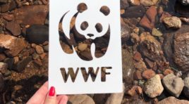 Журналисты Мурманской области посетили Терский берег