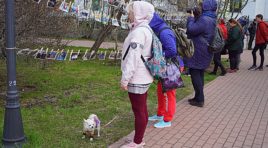 В Мурманске вновь «сушили» фотографии