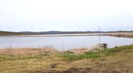 Стартовала рекультивация помётохранилища птицефабрики «Снежная»