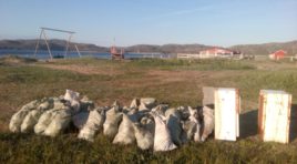 За неделю до фестиваля в Териберке состоится субботник