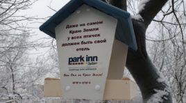 У входа в отель «Park Inn by Radisson Полярные Зори» повесили скворечник