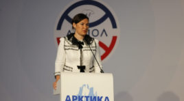 В Петербурге проходит Арктический форум