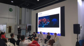 Проект современного освещения города Полярные Зори представлен в Абу-Даби