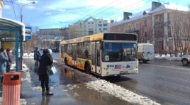 Власти Мурманска поддержали инициативу ОНФ о льготном проезде детей 7-8 лет