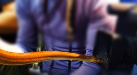 В Мурманске работал экзомаркет